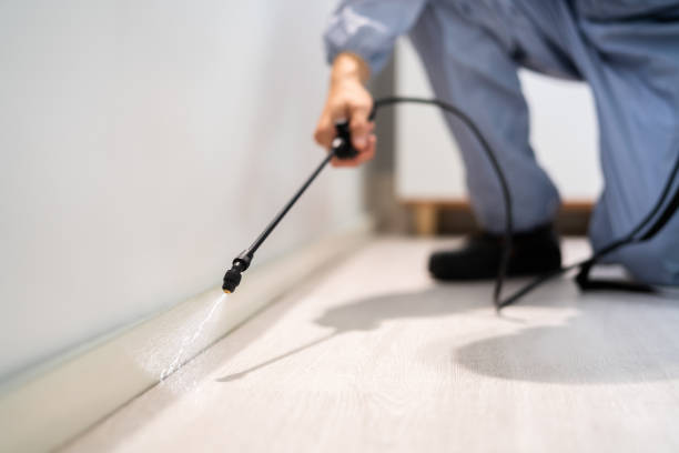 Licensed Pest Control service in Boyes Hot Springs, CA - Nex Pest Control