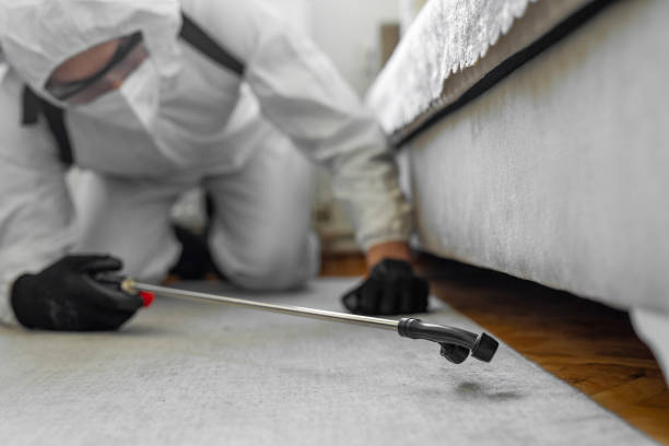 Professional Pest Control technician working in Boyes Hot Springs, CA
