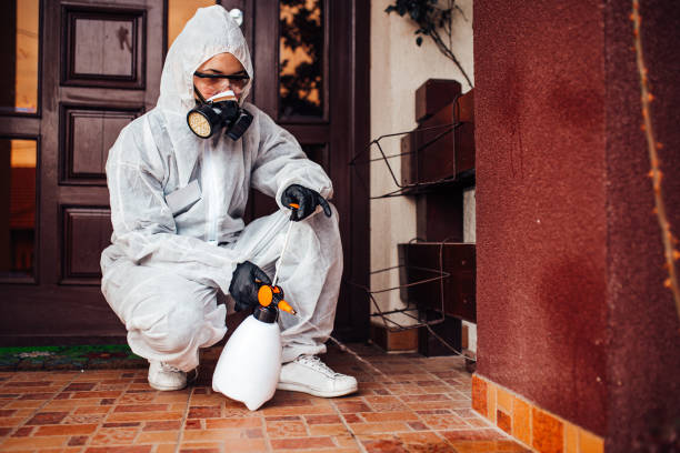 Reliable Emergency Pest Control contractor in Boyes Hot Springs, CA by Nex Pest Control